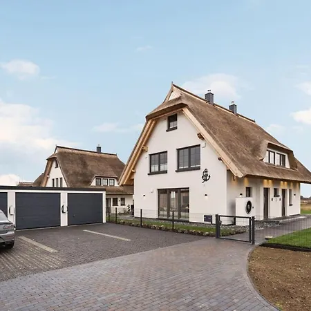 Windspiel Comfortable *