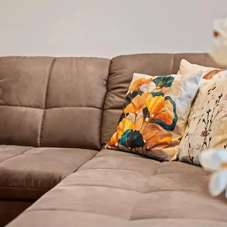 Windspiel Comfortable