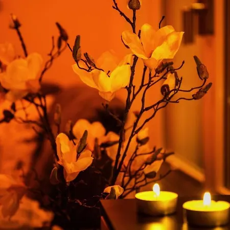 Feriehus Windspiel Comfortable *